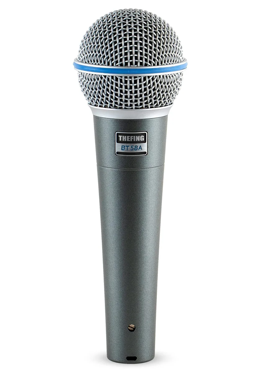 THEFING BT 58A Supercardioid XLR Handheld Microphone 16ft Cable — product photo