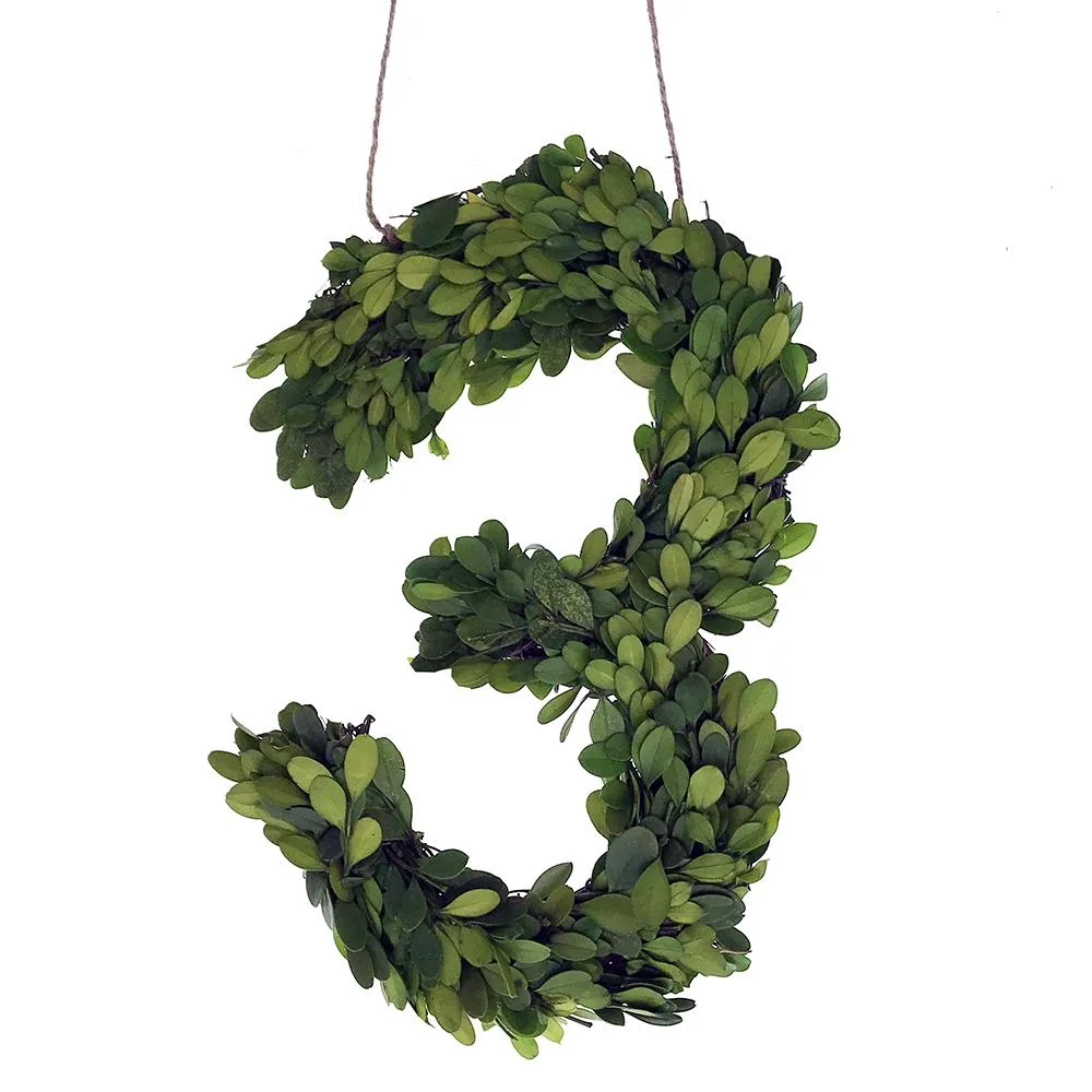 Vandue Corporation Vandue Corporation Modern Home 12" Real Preserved Boxwood Monogram Wreath Letter - 3 — product photo