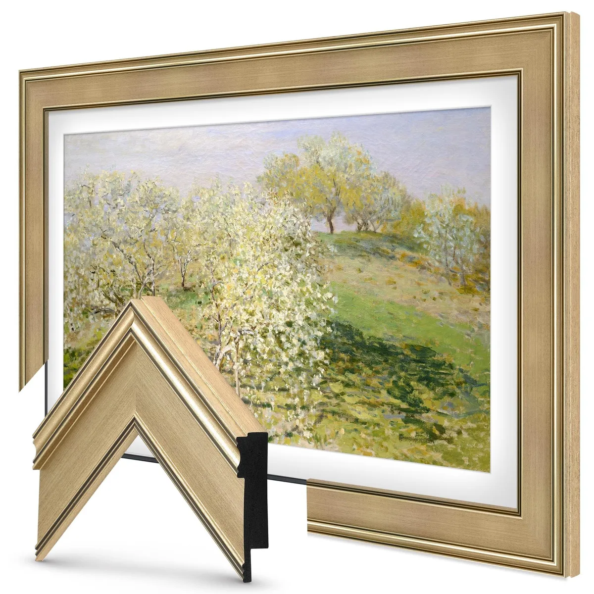 Frame My TV Frame My TV Champagne 43" Premiere Deco TV Frame install accessory — product photo
