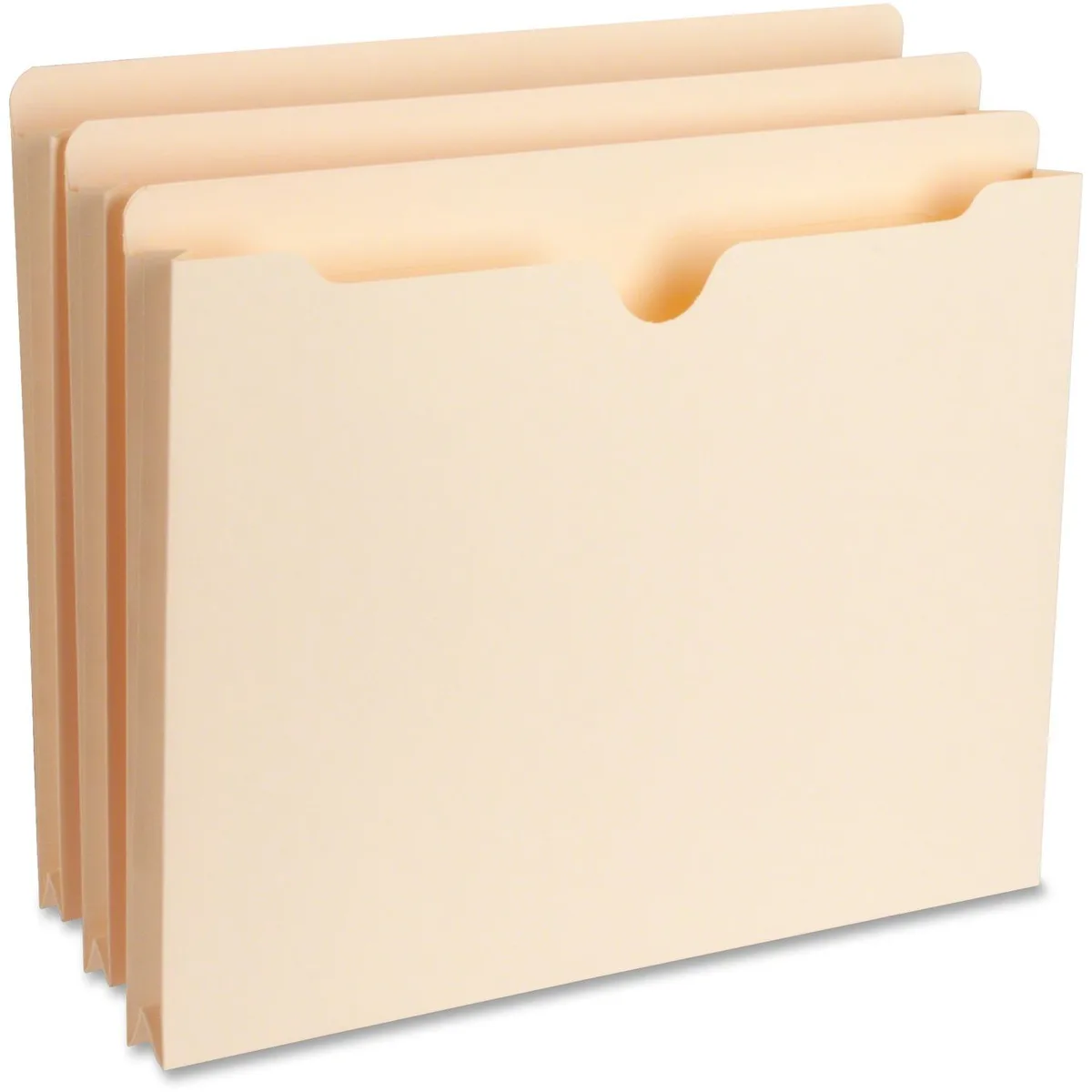 Business Source Business Source 65797 file folder 1" expansion 50 box — product photo