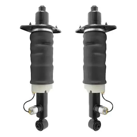 Unity rear air strut assembly kit, two non-electronic struts, silver metal finish
