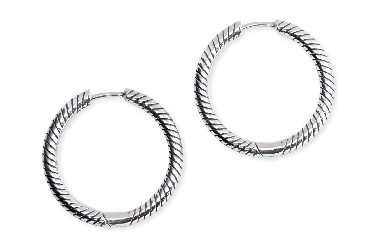 PANDORA PANDORA Moments Charm Hoop Earrings Silver — product photo