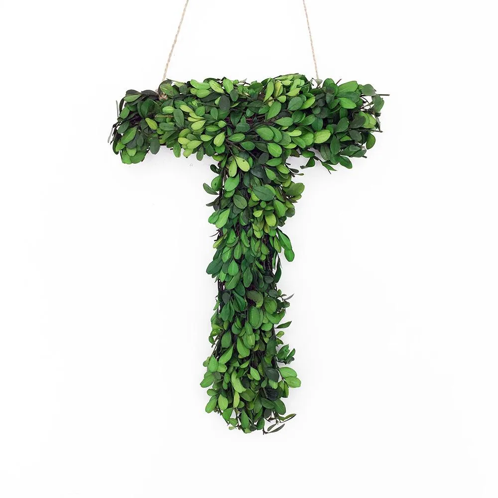 Vandue Corporation Vandue Corporation Modern Home 12" Preserved Boxwood Letter T 12.000x2.000 — product photo