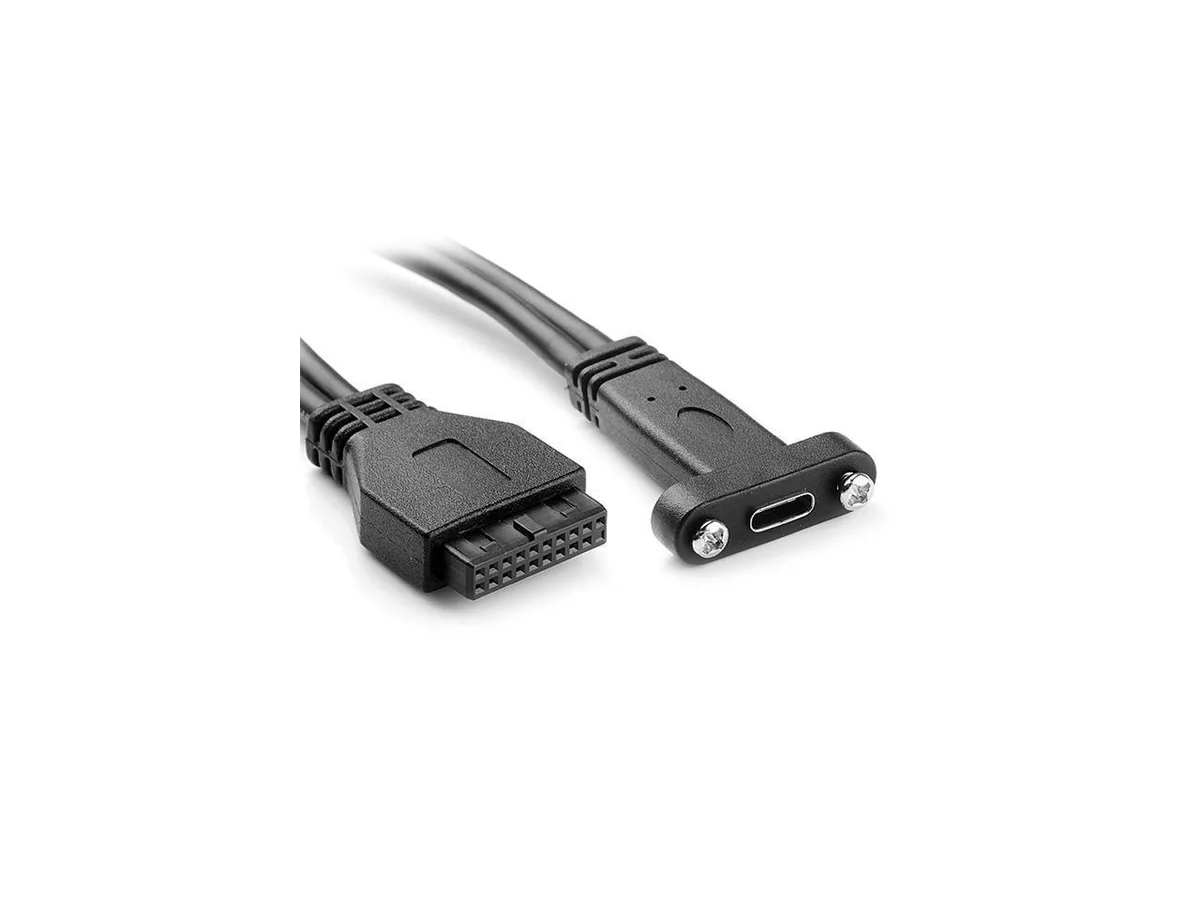 A USB-C female port on a short cable ending in a 19-pin motherboard header
