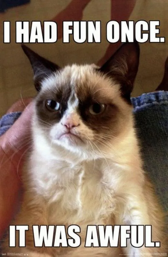 Rectangular paper poster print 22 by 34 inches featuring Grumpy Cat meme image