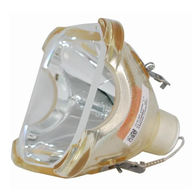 Sony Sony VPL-HW30 Philips OEM Bare Bulb 200-150W 1.0 P22 dlp replacement lamp — product photo