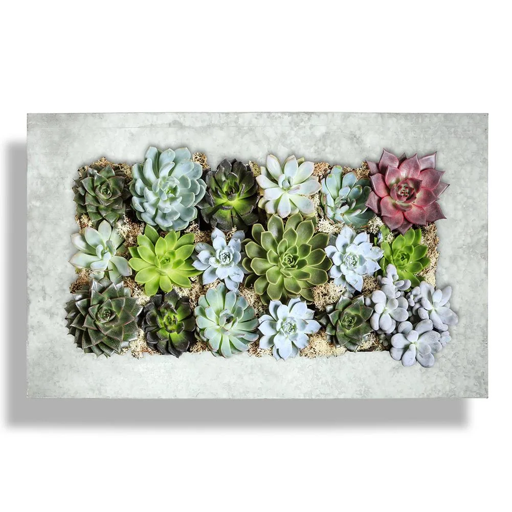 Vandue Corporation Vandue Corporation Modern Home Living Wall Planter Aged Zinc 18 Pocket — product photo