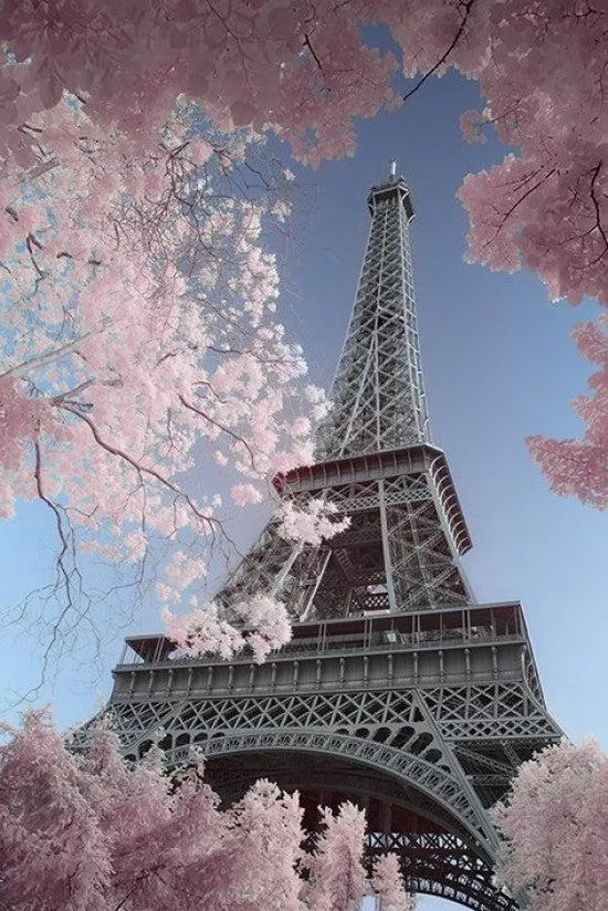 Poster print of the Eiffel Tower in infrared tones, 24 by 36 inches