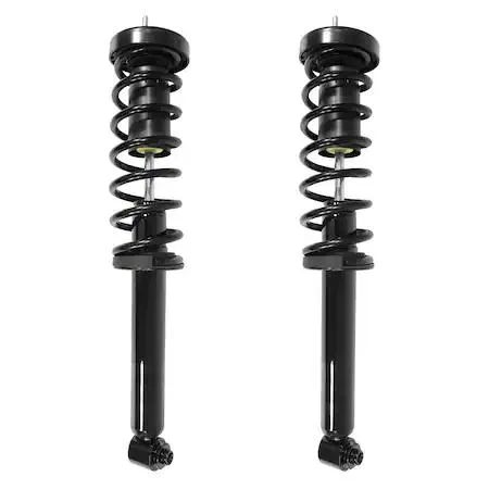 Pair of silver rear strut assemblies with coil springs and top mounts