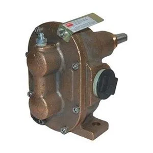 Dayton Dayton 4KHG6 Rotary Gear Pump Head, 3/8 in. trap — product photo