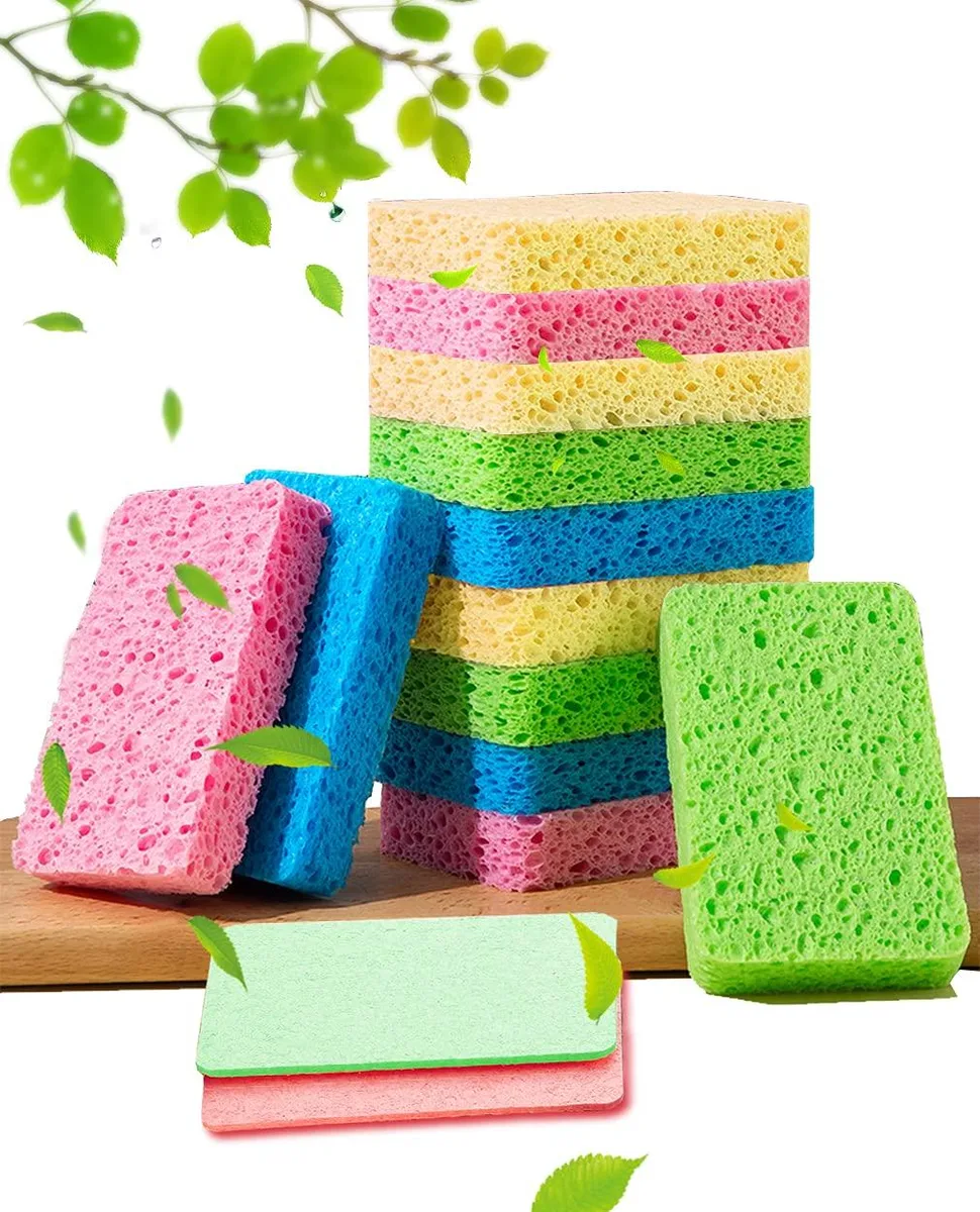 Twelve thin compressed cellulose sponges on a card, flat and pale, each about 4.3 by 2.8 inches when dry