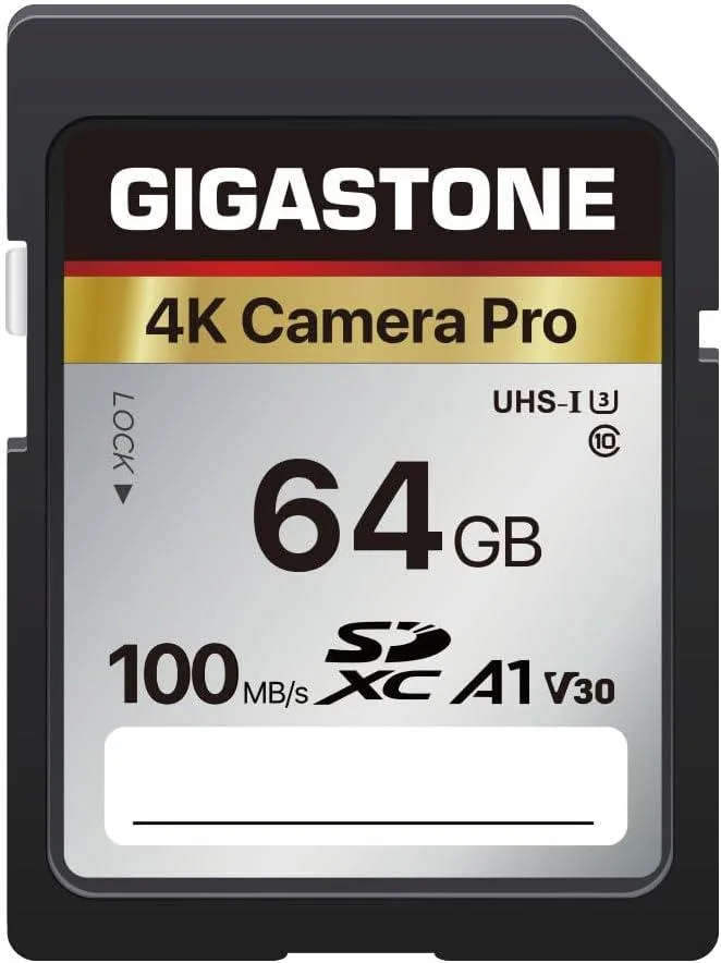 Gigastone Corporation Gigastone 64GB SDXC V30 UHS-I 100MB/s memory card — product photo