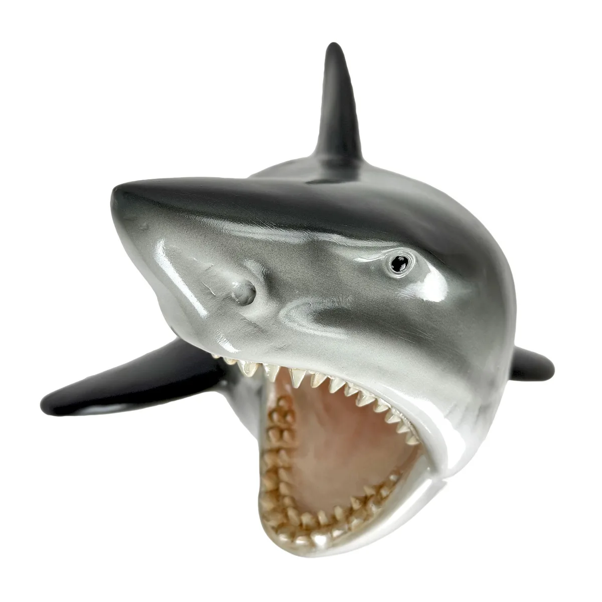 White resin shark head wall sculpture, 16 inches wide, open mouth with teeth, three-dimensional mount
