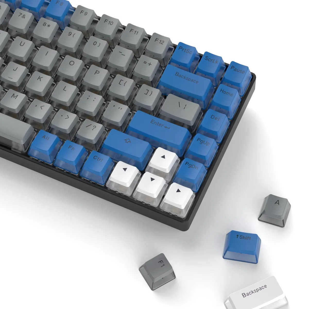 Womier Womier PBT Pudding Keycaps 164-Key Set OEM Profile Blue — product photo
