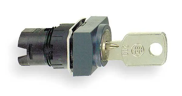 Schneider Electric 16 mm keyed selector switch, black metal head, two-position