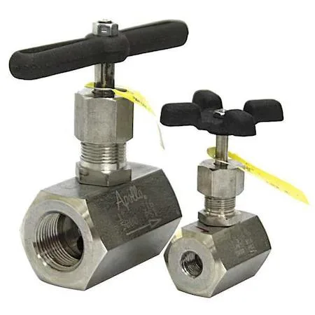 Stainless steel globe valve with tee handle and FNPT connections
