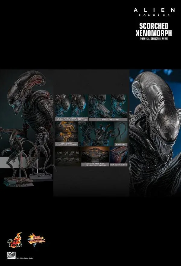 Hot Toys Hot Toys MMS784 Alien Romulus Scorched Xenomorph 1/6 action figure — product photo