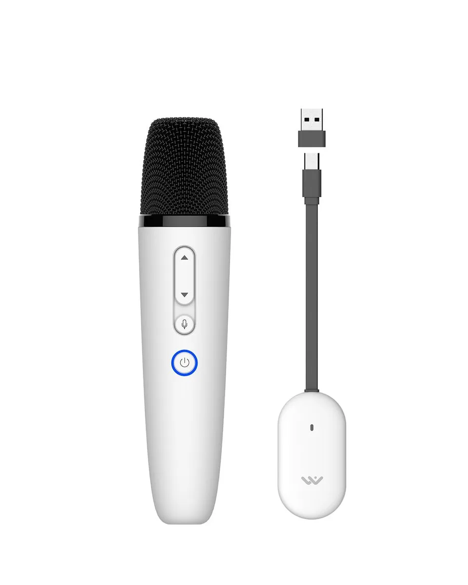  LvDonic Karaoke Microphone for Tesla Model Y/3/S/X — product photo