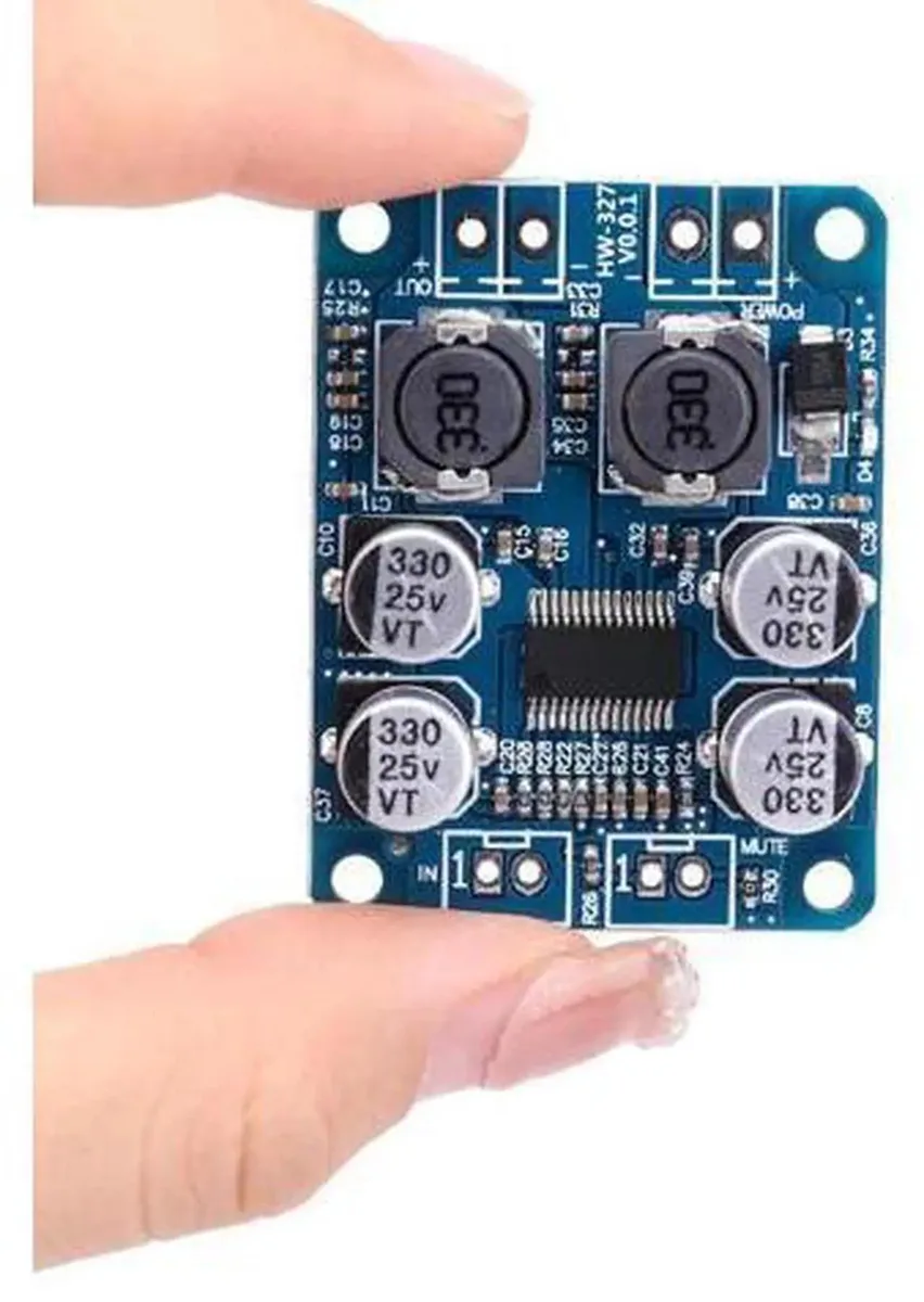 SMUGDESK SMUGDESK TPA3118 Mono Amplifier Board 48 Ohm 824V — product photo