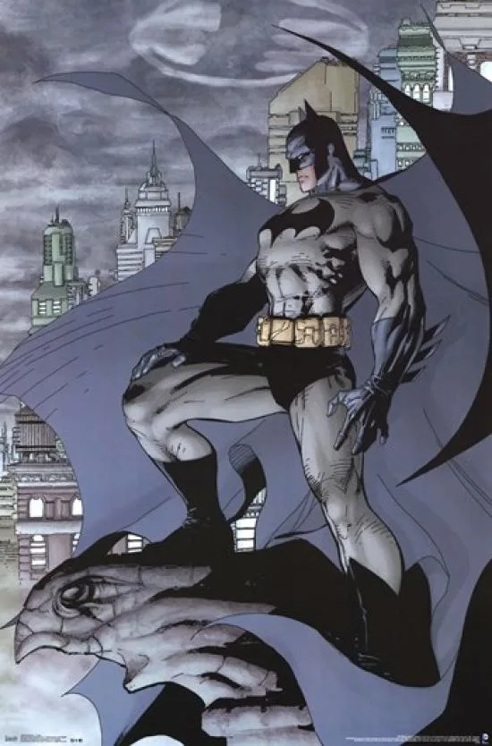 Batman cape poster print, 24 by 36 inches, glossy paper in tube