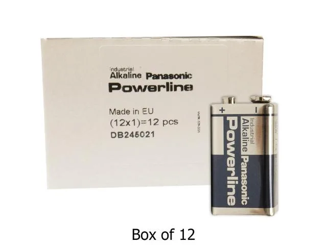 Panasonic Panasonic 6LR61AD1P 9V alkaline battery 12-pack — product photo