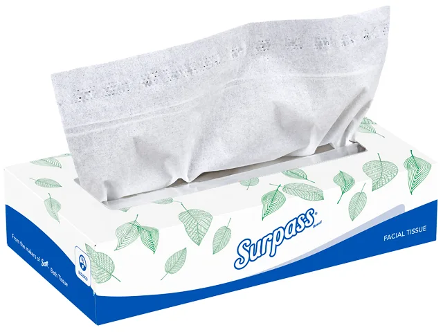 Flat white cardboard box of 2-ply facial tissues, 100 sheets per box