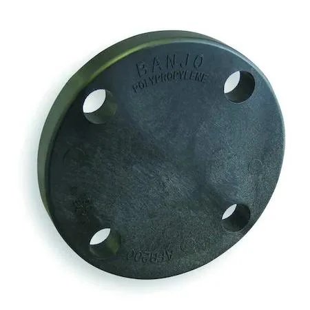 Banjo Banjo AFB200 Blind Flange Trap Polypropylene 2" Class 150 150 psi — product photo