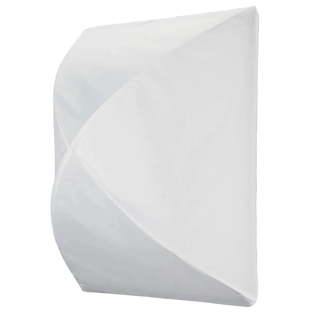 Godox Photo Equipment Co. Ltd Godox Photo Equipment Co. Ltd Pancake Lantern softbox 24x48 for F400BI — product photo