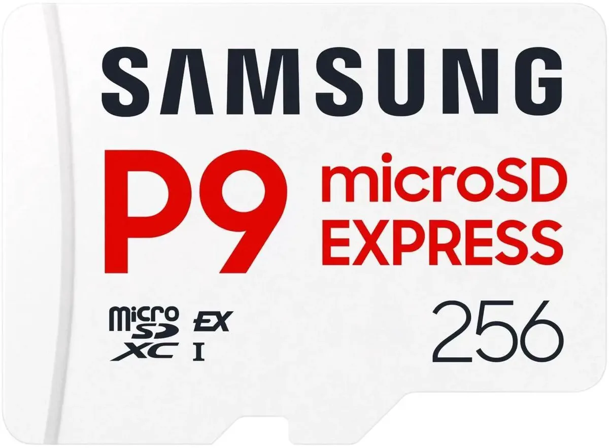 SAMSUNG SAMSUNG P9 Express microSD Express Card 256GB memory card — product photo