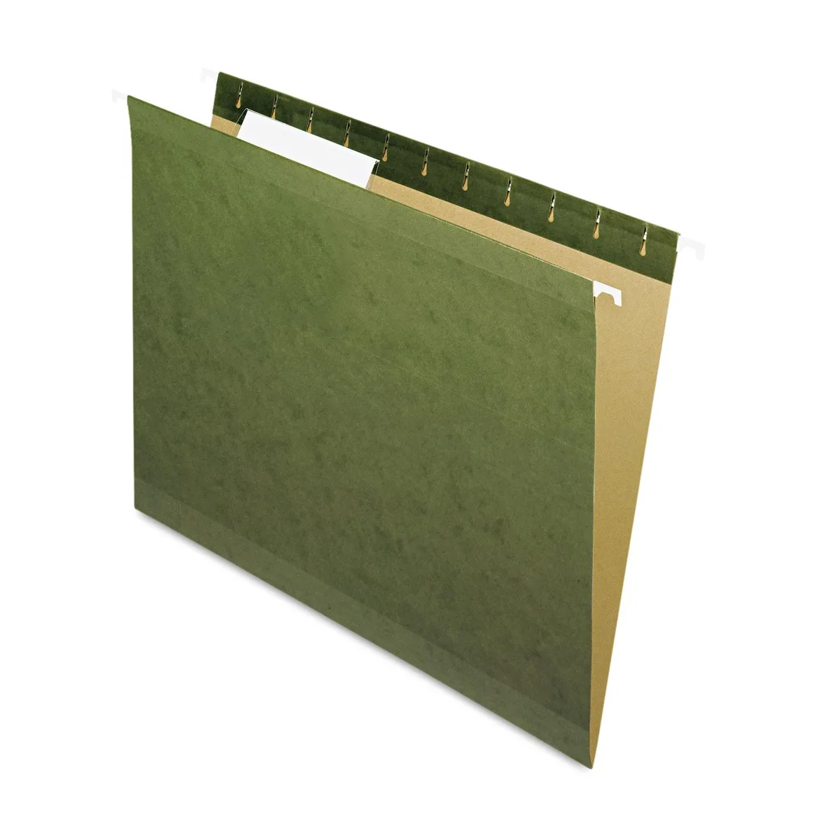Pendaflex Essentials Pendaflex Essentials 4152-1/3 hanging file folders accessory 25 box — product photo