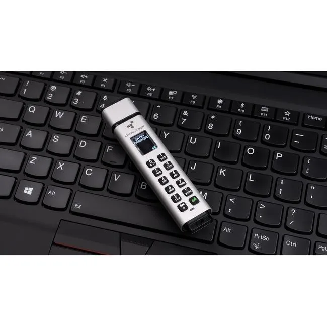 IRONKEY IRONKEY Sentry K350 256GB Encrypted USB-A Drive — product photo