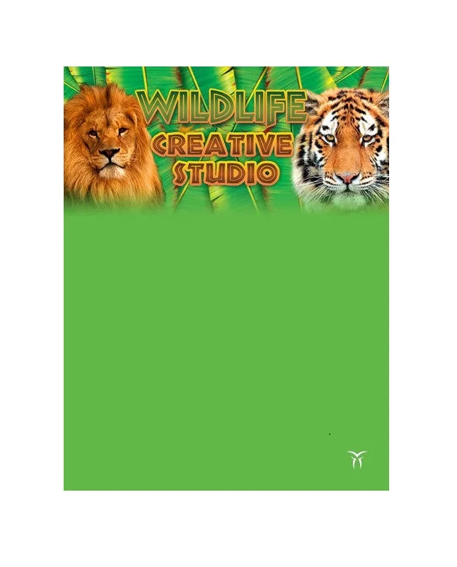 Steam activation code card for PC wildlife creativity software
