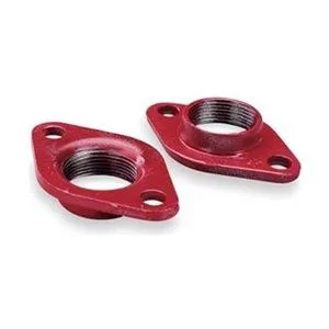 BELL AND GOSSETT BELL AND GOSSETT 101207 Cast Iron Flange 1-1/2 in Pk2 — product photo