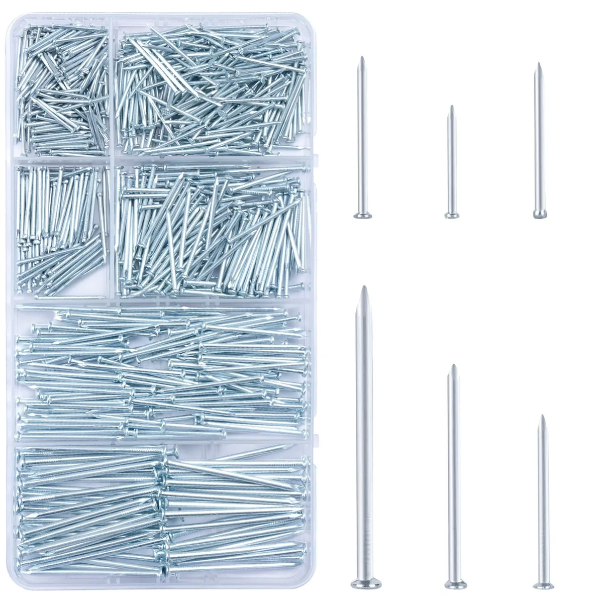 Transparent compartment box filled with silver galvanised steel nails in assorted lengths