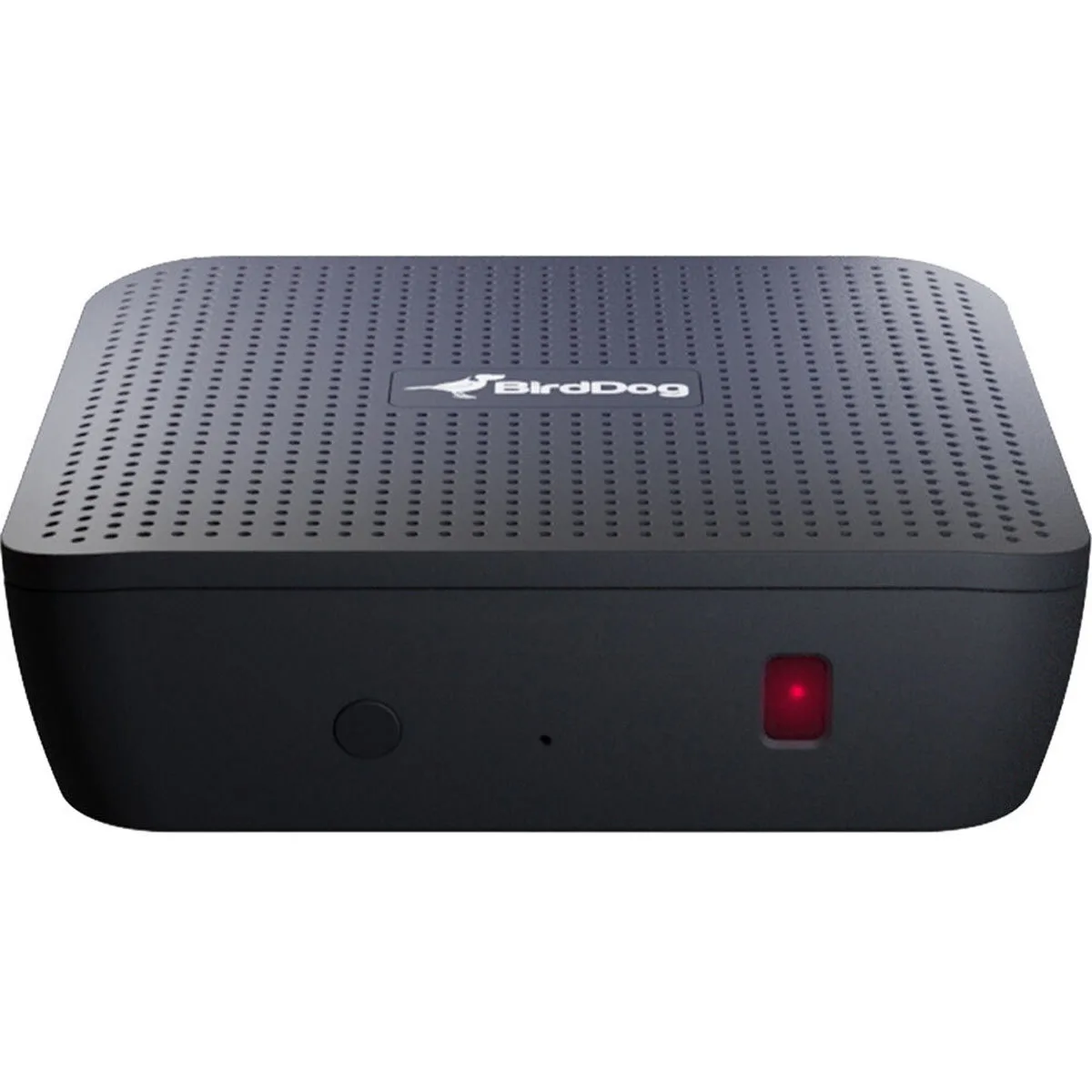 BirdDog BirdDog PLAY 4K NDI Player professional video device — product photo