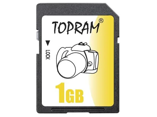 Standard-size 1GB SD card in clear plastic case