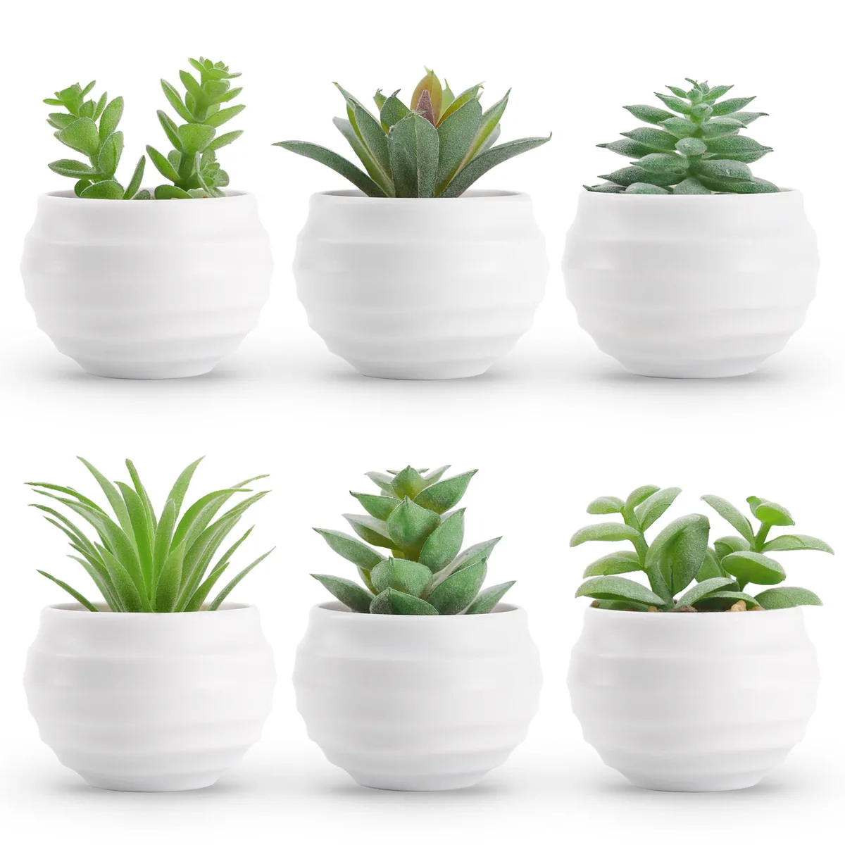 Der Rose Set of 6 Artificial Succulents in Pots 50H x 15W x 15D — product photo