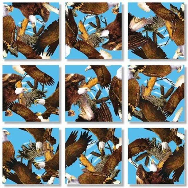 Nine square puzzle pieces with bald eagle illustrations forming a twelve inch square