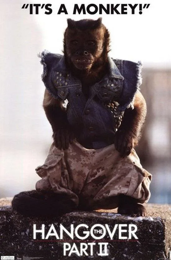 Poster print "Hangover 2 - Monkey" 24 x 36 inches
