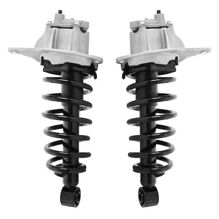 Unity Unity 2-15075-15076-001 Rear Complete Strut Assembly Kit — product photo