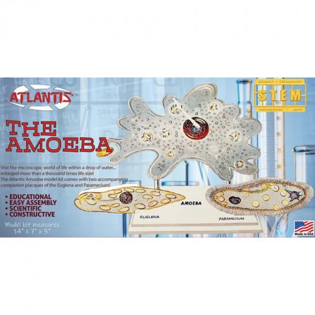 Atlantis Atlantis STEM Model Kit The Amazing Amoeba 14 — product photo