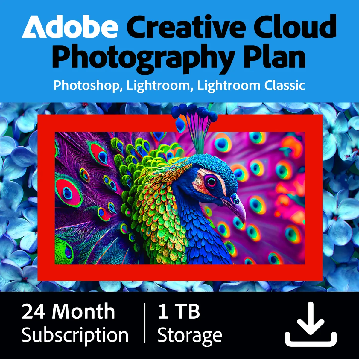 Adobe Adobe 30017088 Creative Cloud Photography plan 1TB 24 Month photo — product photo