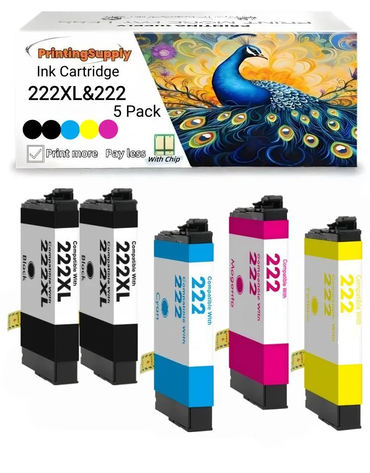 Aster Graphics Inc Aster Graphics Inc 222XL Black Ink Cartridge 2 Pack for Epson XP-5200 WF-2960 — product photo