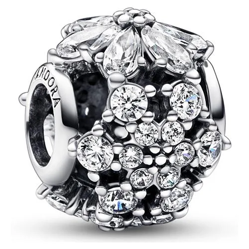 PANDORA PANDORA Sparkling Herbarium Cluster Round Charm Silver — product photo