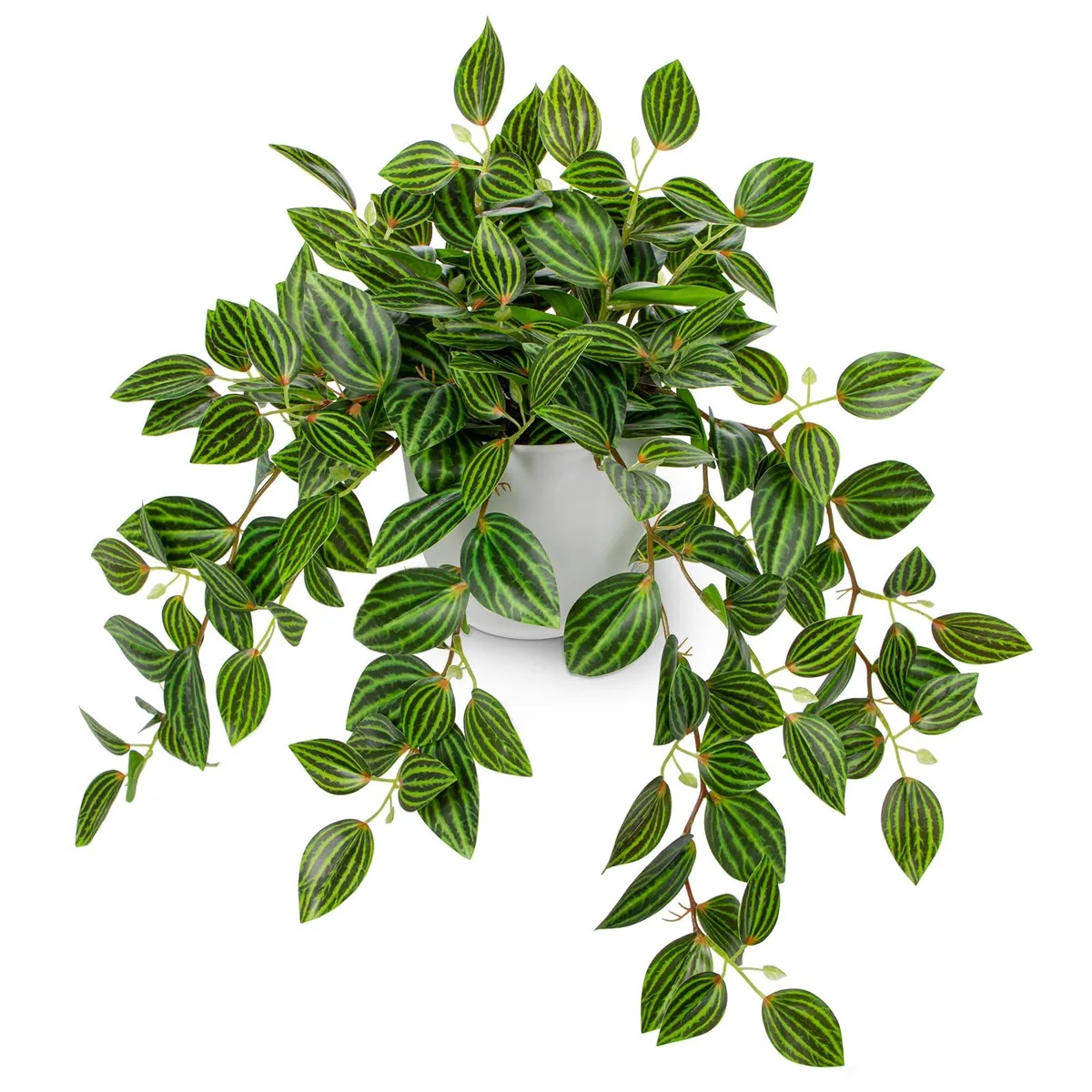 Briful Watermelon Peperomia Artificial Plant 17.7" White Pot — product photo