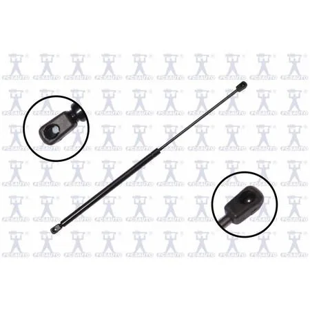 FCS Struts 86225 transparent lift support hatch