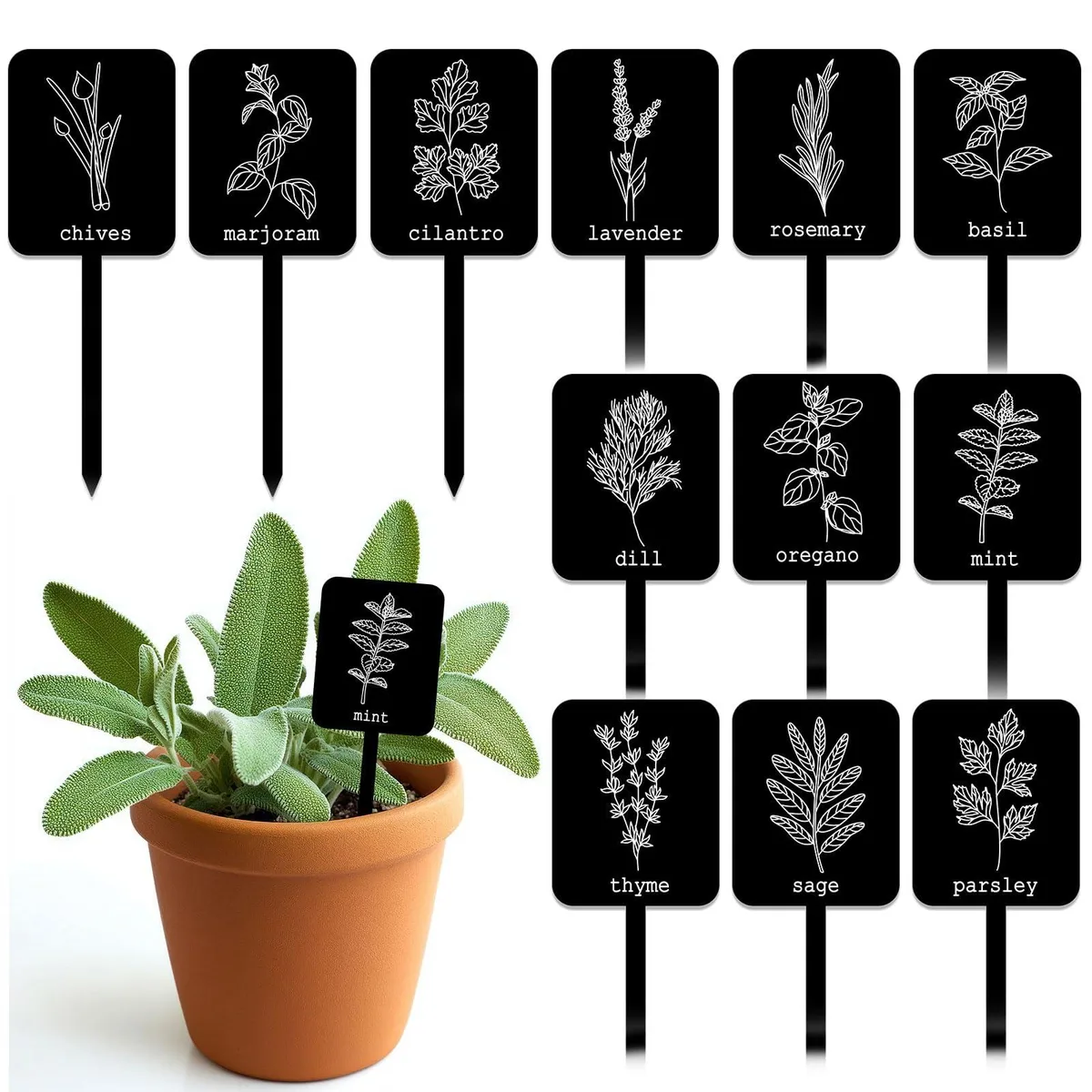  Whaline W15884 Acrylic Plant Label Signs 24 pcs 12 Designs 4 x 1.5 x 0.08 inch — product photo