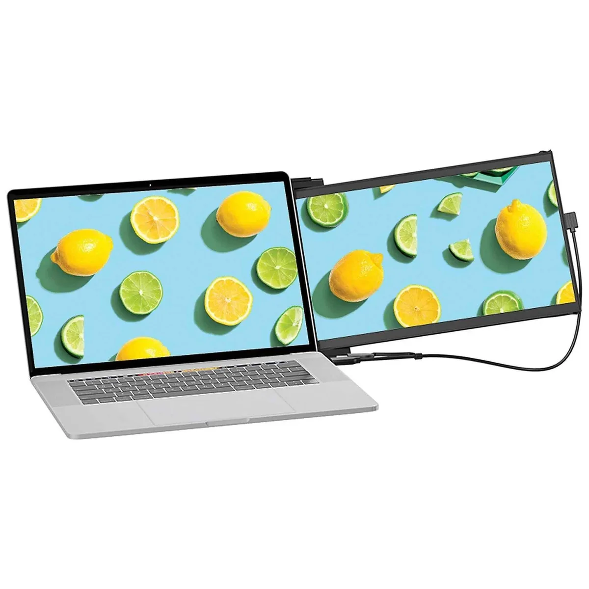 Mobile Pixels Mobile Pixels Duex Max DS 14.1" portable monitor — product photo