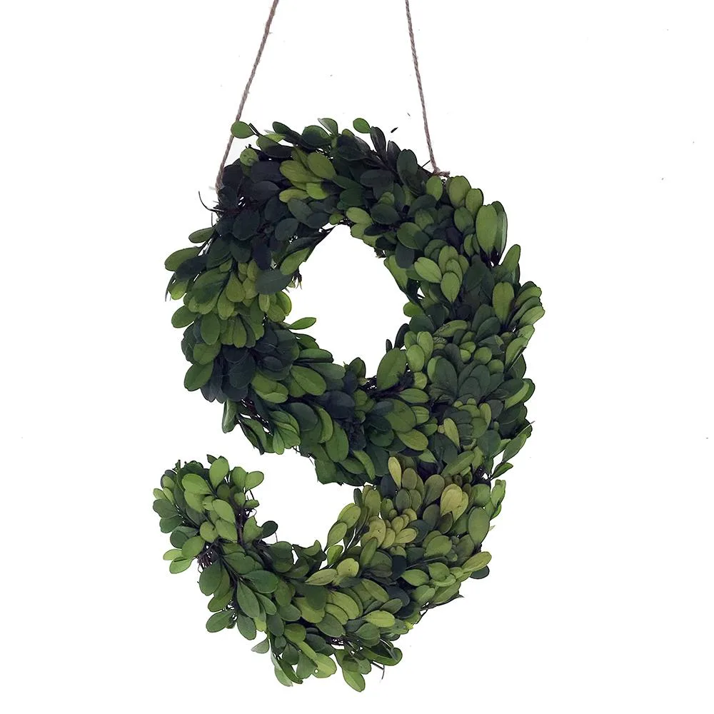 Vandue Corporation Vandue Corporation Modern Home 12" Real Preserved Boxwood Monogram Wreath Letter - 9 — product photo