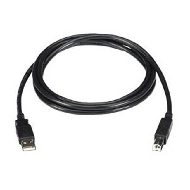 Black Box Corporation Black Box Corporation USB06-0006 USB 2.0 A to Mini B cable 6 — product photo